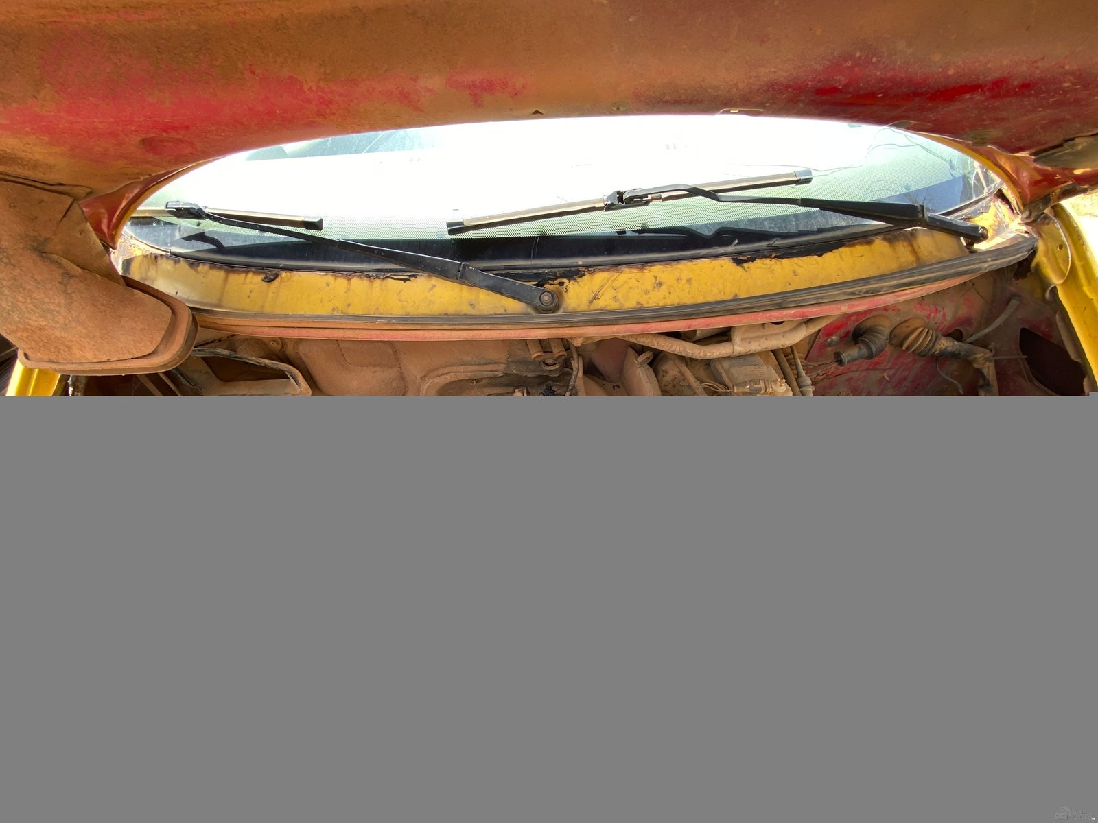 Volkswagen transportation Bus Image