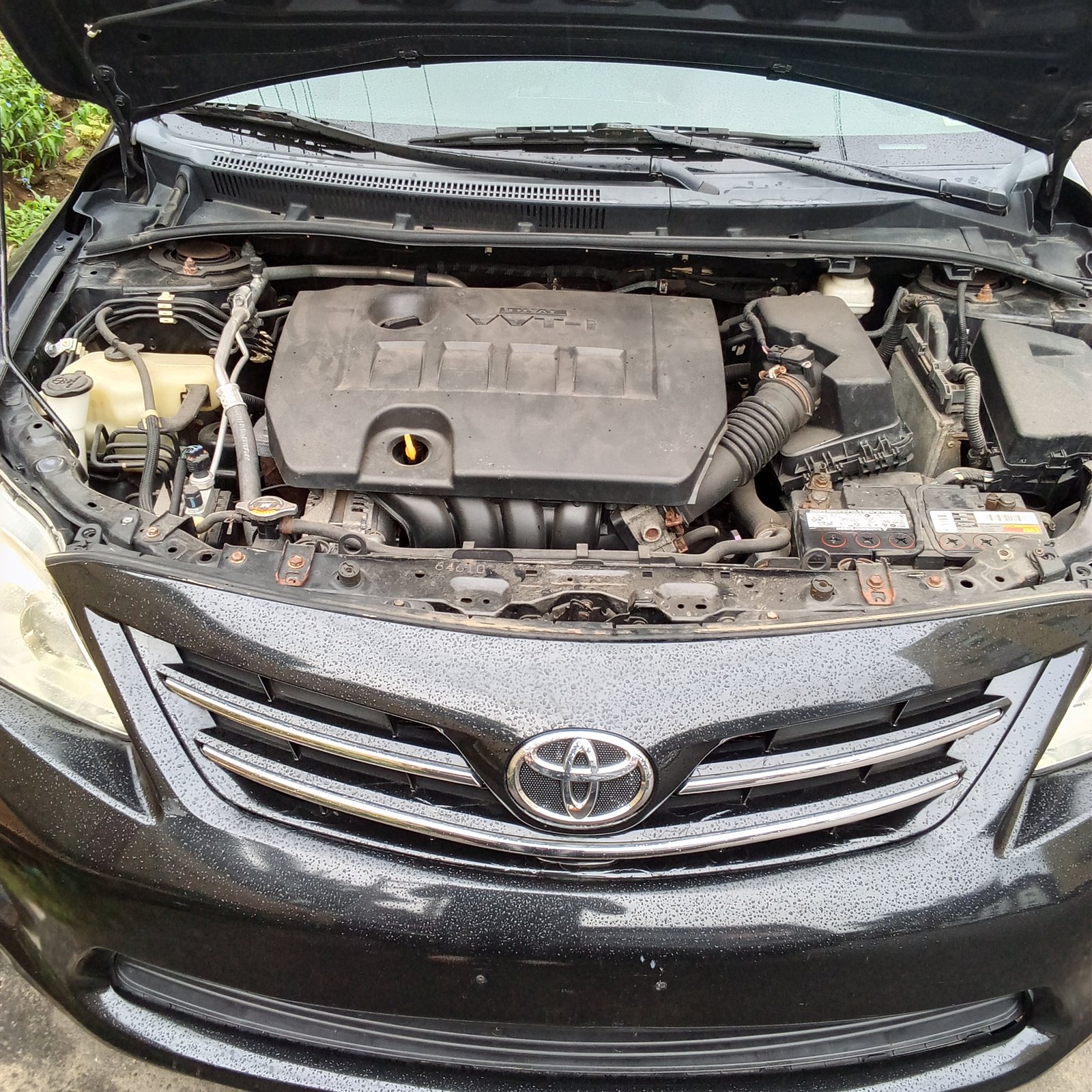 2013 Toyota Corolla LE, Rear seats