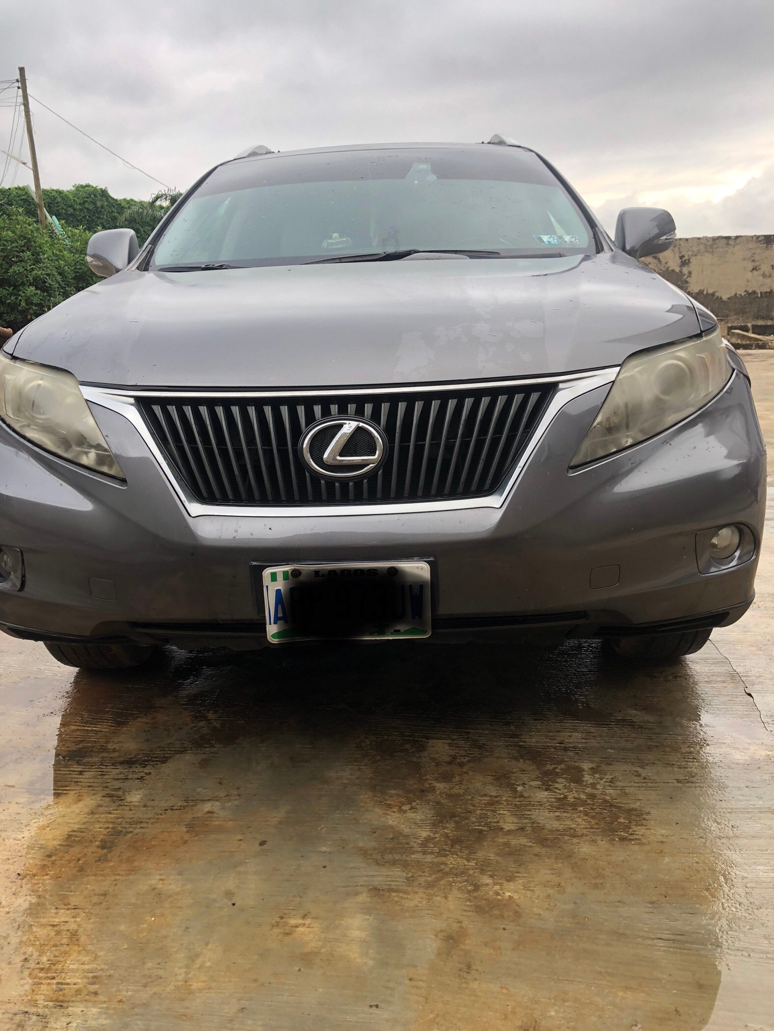 2013 Lexus RX XLE