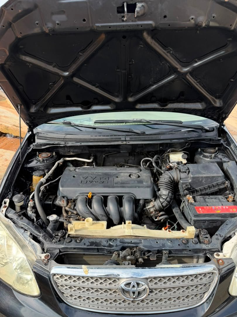 2006 Toyota Corolla LE, Rear 3/4